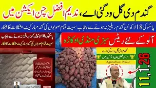 Wheat is gone, Nadim Afzal Chan in action | New wheat rate | Potato Rates Update | Munji, Makki