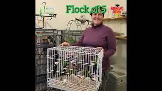 End of Year 2022 Adoptions -- RIPR