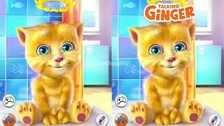 Talking Ginger Game|Android/iOS Game #tomhappy 