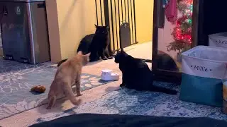 Unboxing the 