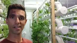 HOW TO CONTROL PESTS IN AQUAPONICS WITHOUT PESTICIDES!