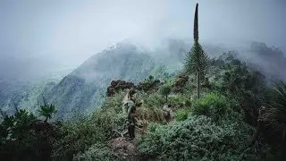 Travel in Uganda with a 4x4🇺🇬
