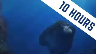 Monke Swim, Monke Happy - Life Could Be a Dream... | 10 Hours