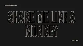 Dave Matthews Band - Shake Me Like a Monkey - Guitar Cover by Lior Asher