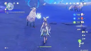 Easter Egg Genshin Impact - Deer bow to Lauma