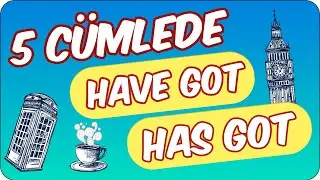 5 Cümlede Have Got Has Got ✍