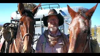 Good MULE!