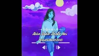 akha India Janta Hai (SLOW AND REVERB) Kumar Sanu | Ranit Roy |
