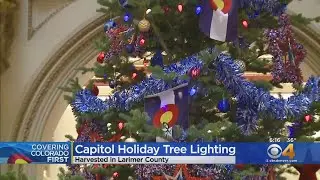 Colorado State Capitol Tree Lit For Holidays
