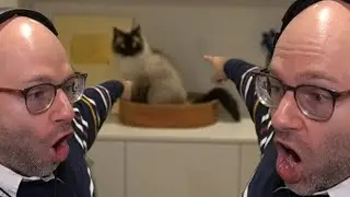 ITS A HECKIN CATTERINO