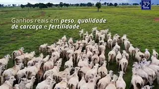 Qualidade Gen&eacute;tica - Marca 27