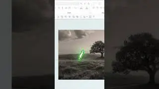 Эффект магии цвета PowerPoint на фотографиях #powerpoint #ramgopalppt