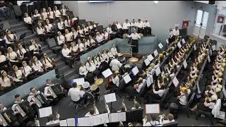Tu ești floarea din grădina - Orchestra Amiuna - dirijor Tița Ilovan