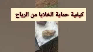 حماية الخلايا من الرياح ، وضع الحجارة و الأشياء الثقيلة على غطاء الصندوق . 