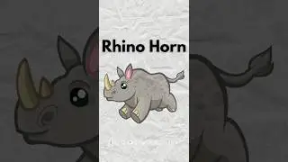 🦏 Why Rhino's horn is expensive? #rhino #expensive