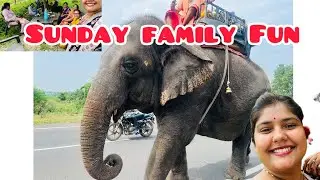FARM HOUSE me Ghus gaya HATHI 😱 | Sunday Family Fun | Gold Shopping | Family Day | Family Vlog #vlog