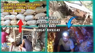 NTB ( LOMBOK  ) gempar kembali warga menemukan lokasi baru tambang emas satu hari dapat 100 karung