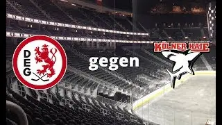 DEL-Vorschau: D&uuml;sseldorfer EG vs. K&ouml;lner Haie | Hockeyweb.de