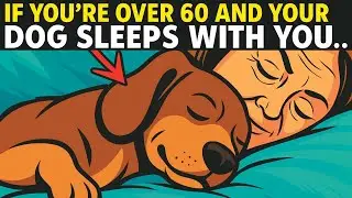 If You&rsquo;re Over 60 and Your Dog Sleeps with You, Watch This