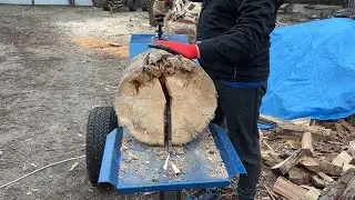 Effortless Firewood Splitting with a Powerful Rack-Mounted Electric Log Splitter #short