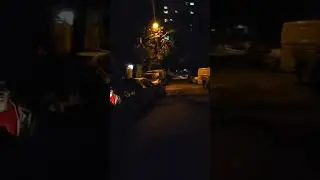 walking dog at night