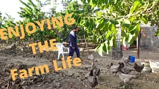 Farm Life in Costa Tropical