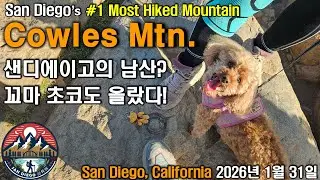 꼬마 초코도 올랐다! Cowles Mountain, 샌디에이고의 남산?