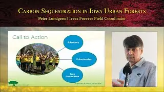 Carbon Sequestration in Iowa Urban Forests - Peter Lundgren, Trees Forever Field Coordinator