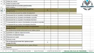 DSF : Comment monter une DSF (états financiers OHADA) partie 3/3