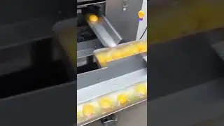 🥚Egg Factory | Egg Processing Machine | Automatic Processing & Packing Line |Egg Separation #shorts