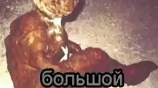 Out of your friend which are you Russian version