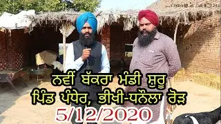 New Bakra Mandi start 5/12/2020 || Pandher Bakra Mandi || ilti Lana TV ||