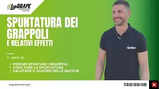 Spuntatura dei grappoli e relativi effetti