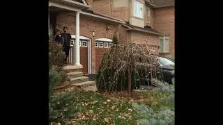 Crazy next door neighbours - NEW but before the fence!