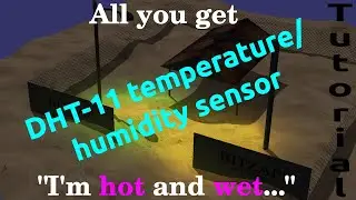 Raspberry Pi C programming tutorial: Interfacing a DHT-11 sensor
