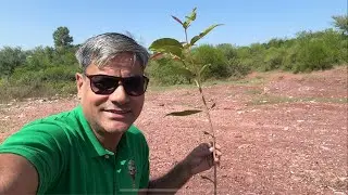 KIA HO RAHA HAE ???