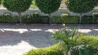 VIDEO AFTER IC COMPLIANCE