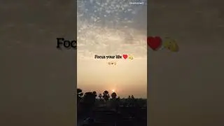 Focus your life &hearts;️💫🫰🫶#video #viral #trending #shortvideo #🫶🫰💫&hearts;️