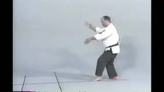 Huk Planas - Form 5 - Part 2 - American Kenpo