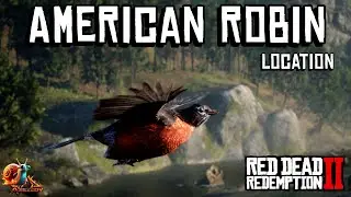 American Robin Location - Red Dead Redemption 2