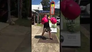 Giant Boxing Gloves