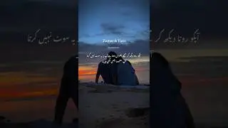 Urdu Novels - Urdu Writers  || BOOKTROVERT#ytshorts #booktube #nemrahahmed #urdunovels #umeraahmed
