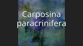 Carposina paracrinifera