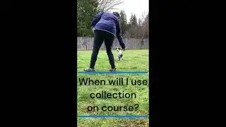 Foundation Agility Collection and Convergence Training