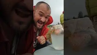 Гоню #двахолма