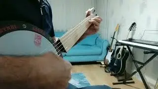 C&uuml;mb&uuml;ş|H&uuml;zzam|Torun Bedih 