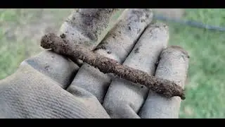 Nailed It 🤭🤣 - Metal Detecting My Long Island, New York Backyard...