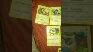 Same of my Normal type Pokemon cards