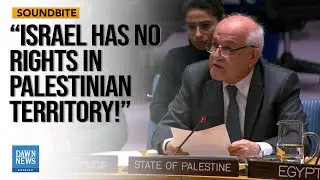 No Alternative To Palestinian Govt And UNRWA, Says Palestinian Envoy To UN | Dawn News English