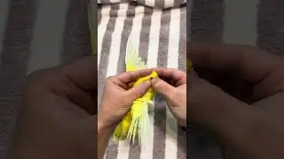 Still Dancing! Taxidermy Bird Won't Stop Grooving #Bird #Pet #Cute #Parrot